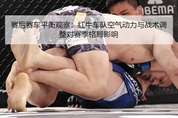 赛后赛车平衡观察：红牛车队空气动力与战术调整对赛季格局影响